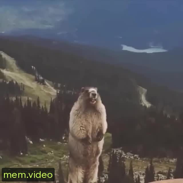 Кадр на 0:09