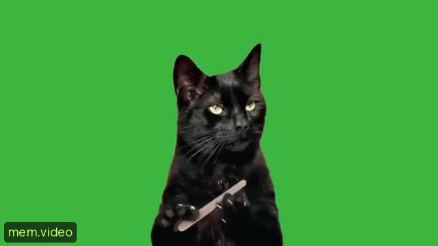 Кадр на 0:00