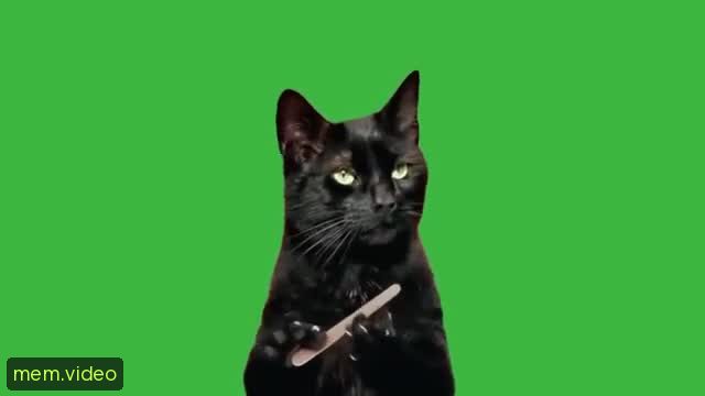 Кадр на 0:04