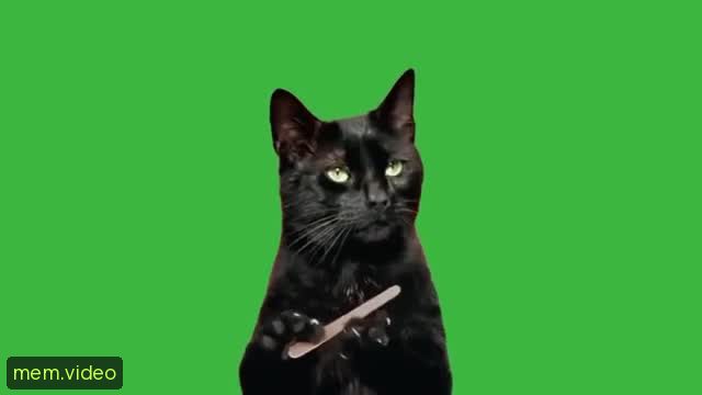 Кадр на 0:05