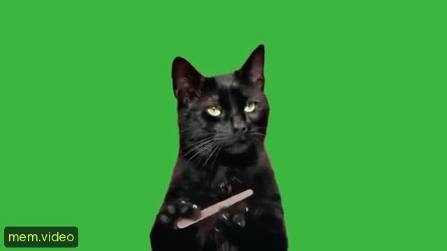 Кадр на 0:09