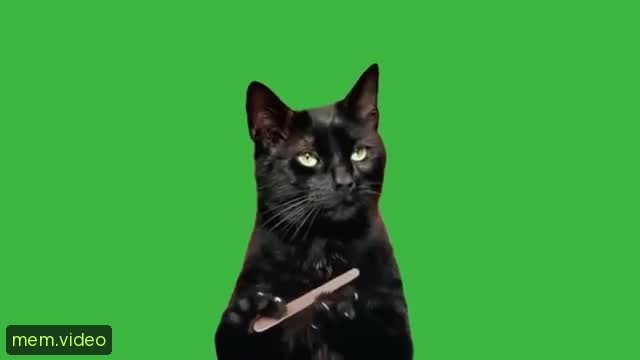 Кадр на 0:11