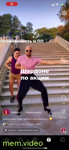 Кадр на 0:00