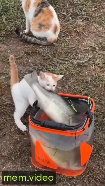 Кадр на 0:01