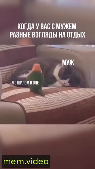 Кадр на 0:02