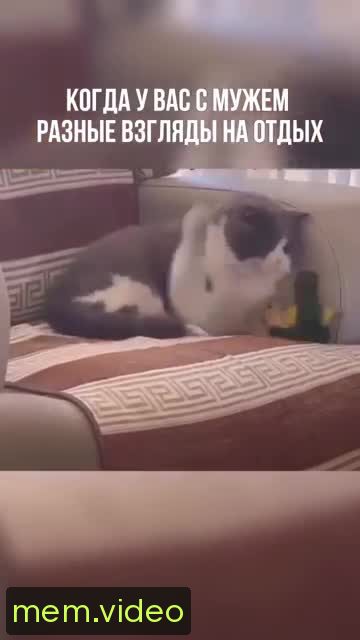 Кадр на 0:06
