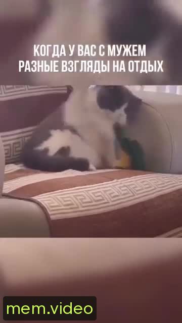 Кадр на 0:07
