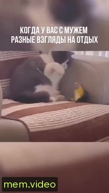 Кадр на 0:09