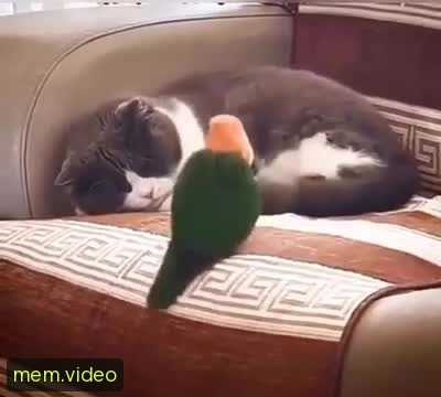 Кадр на 0:01