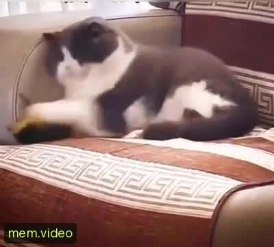 Кадр на 0:07