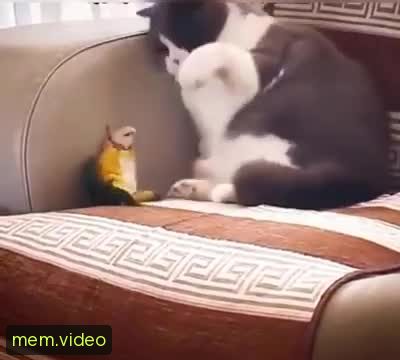 Кадр на 0:09