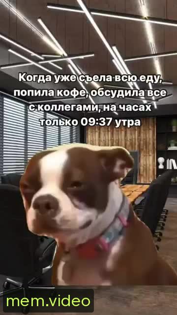 Кадр на 0:00