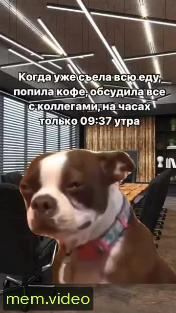 Кадр на 0:00