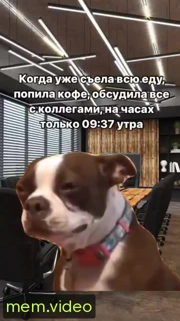 Кадр на 0:01