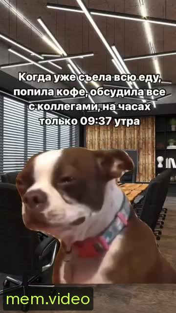 Кадр на 0:02