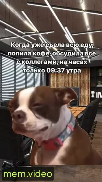 Кадр на 0:03