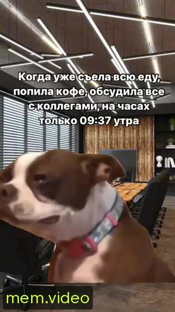 Кадр на 0:03