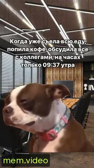 Кадр на 0:05