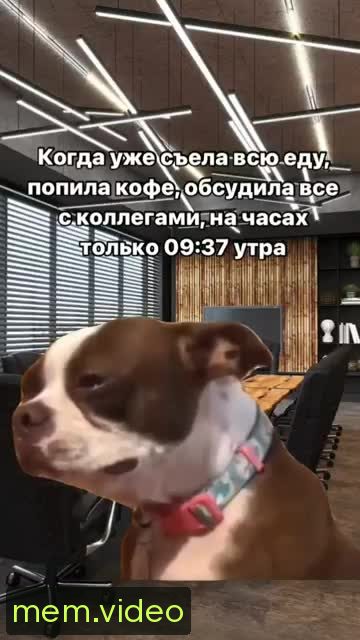 Кадр на 0:06