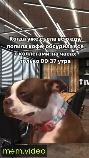 Кадр на 0:07