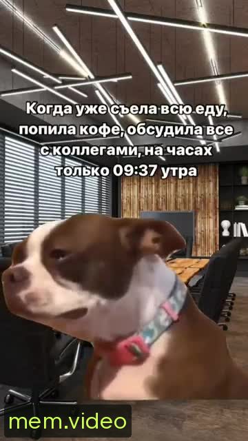 Кадр на 0:07