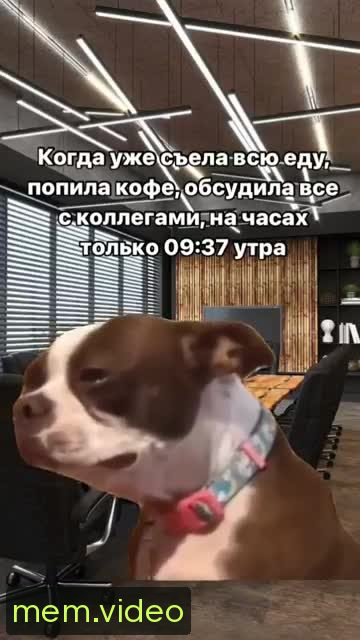 Кадр на 0:08
