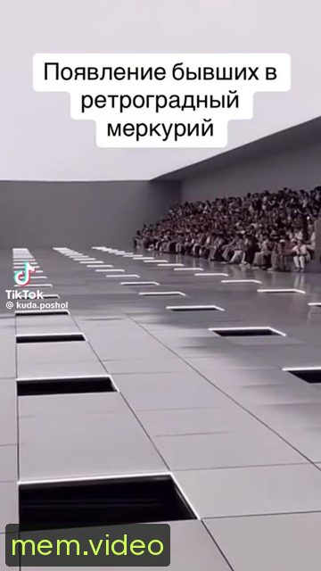 Кадр на 0:00