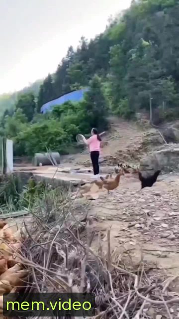 Кадр на 0:00
