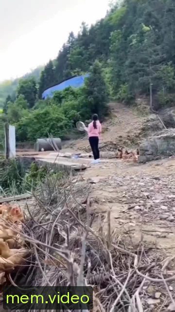 Кадр на 0:02
