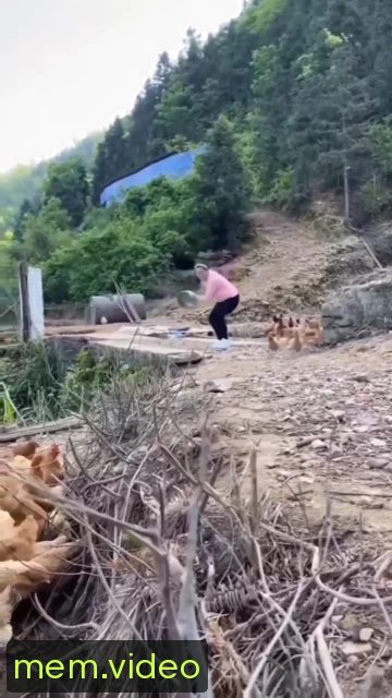 Кадр на 0:03