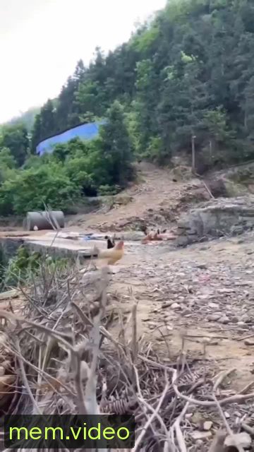 Кадр на 0:07