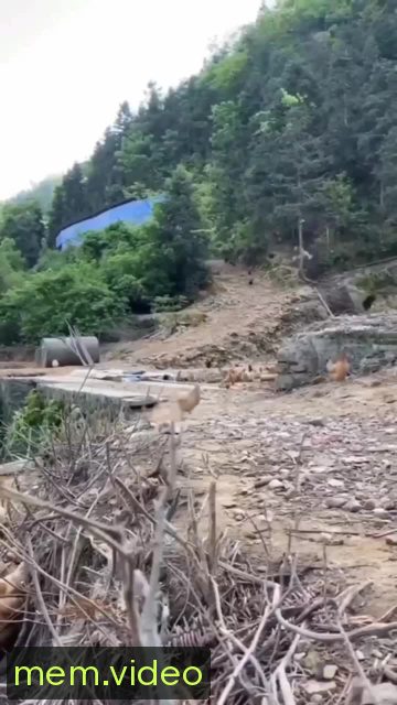 Кадр на 0:09