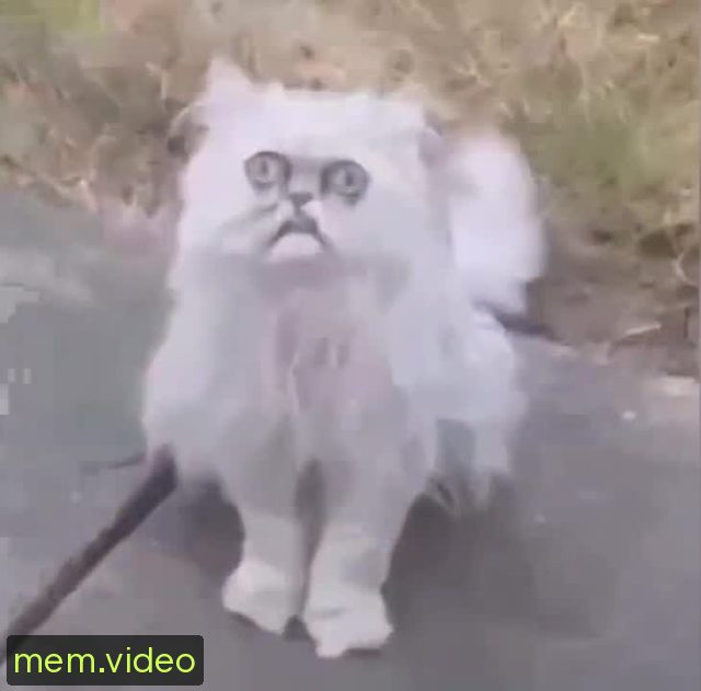 Кадр на 0:02