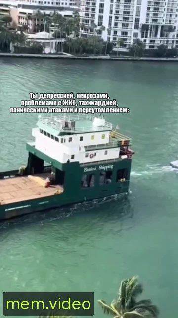 Кадр на 0:04