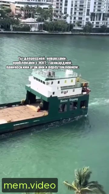 Кадр на 0:04