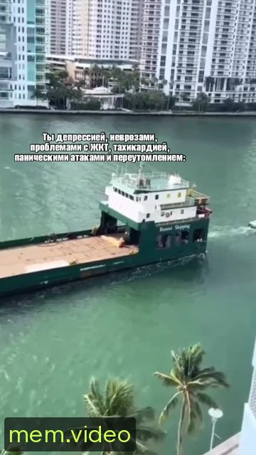 Кадр на 0:05