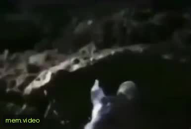 Кадр на 0:01