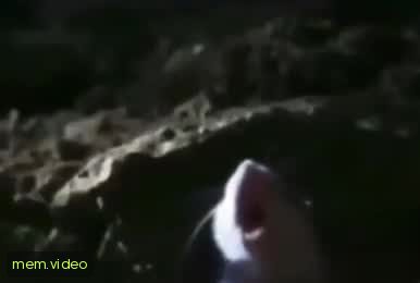 Кадр на 0:02