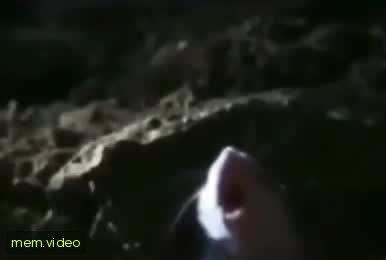 Кадр на 0:02