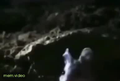 Кадр на 0:04