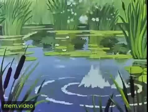 Кадр на 0:00