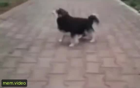 Кадр на 0:00