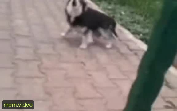 Кадр на 0:01