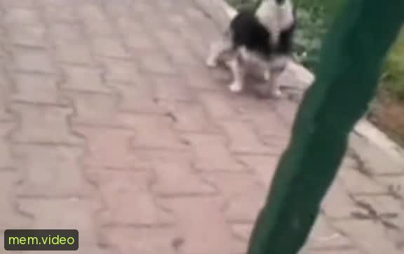 Кадр на 0:02