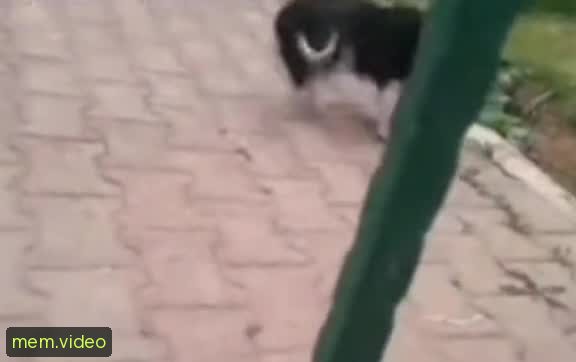 Кадр на 0:02