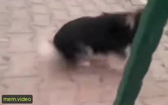 Кадр на 0:03