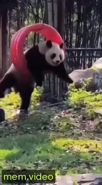 Кадр на 0:00