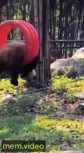 Кадр на 0:01