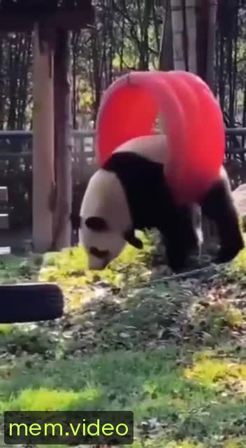 Кадр на 0:03