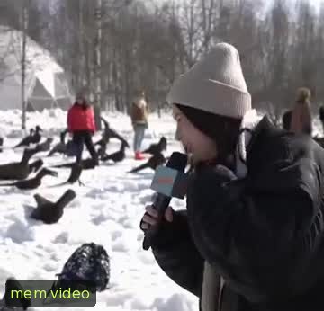Кадр на 0:00